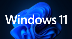 Wicked Whims for Windows 11